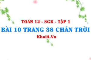Bài 10 trang 38 Toán 12 Tập 1 Chân trời sáng tạo
